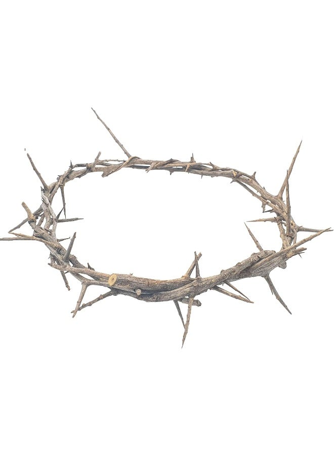 Zuluf Jerusalem Authentic Biblical Lifesize Real Crown of Thorns with Box & Certificate - Image 1